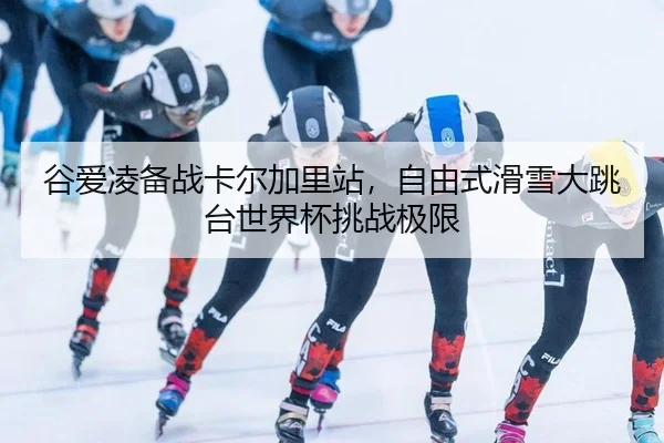 gu-ai-ling-bei-zhan-ka-er-jia-li-zhan-zi-you-shi-hua-xue-da-tiao-tai-shi-jie-bei-tiao-zhan-ji-xian-2-703.jpg