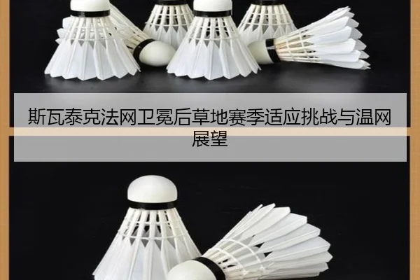 si-wa-tai-ke-fa-wang-wei-mian-hou-cao-di-sai-ji-shi-ying-tiao-zhan-yu-wen-wang-zhan-wang-3-980.jpg