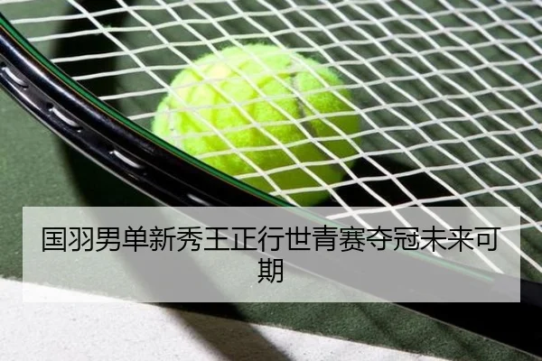 guo-yu-nan-dan-xin-xiu-wang-zheng-xing-shi-qing-sai-duo-guan-wei-lai-ke-qi-2-866.jpg