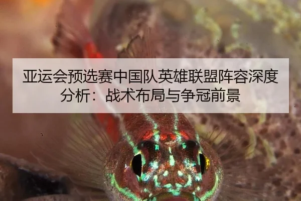 亚运会预选赛中国队英雄联盟阵容深度分析：战术布局与争冠前景